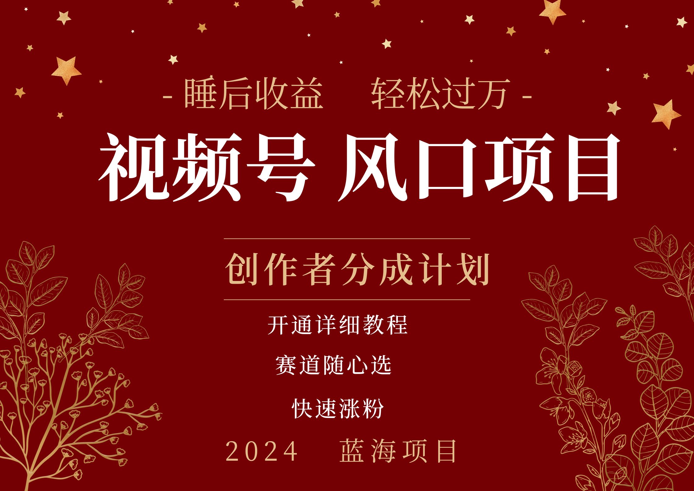 拥有睡眠收益的微信视频号大风口项目，轻松月入过万+，多赛道选择，可矩阵，玩法简单轻松上手-易学副业