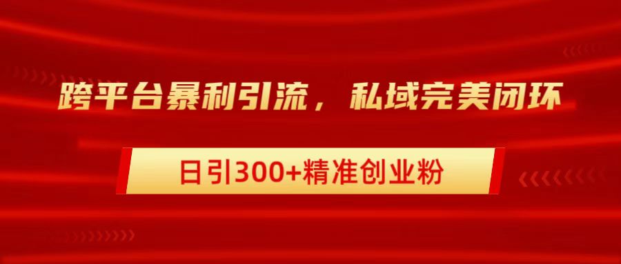 跨平台暴力引流，私域完美闭环，日引300+精准创业粉-易学副业