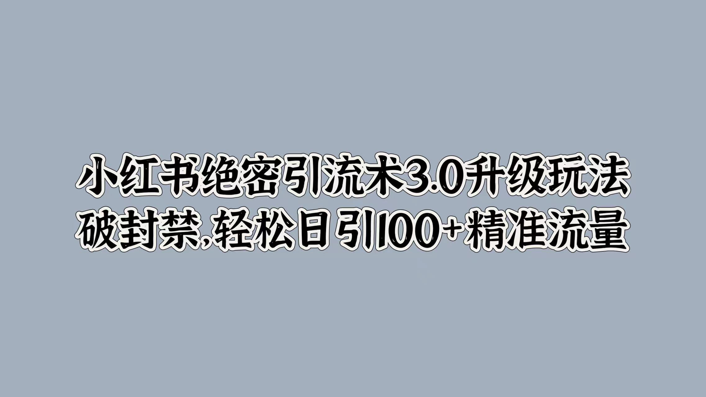 小红书绝密引流术3.0升级玩法，破封禁，轻松日引100+精准流量-易学副业