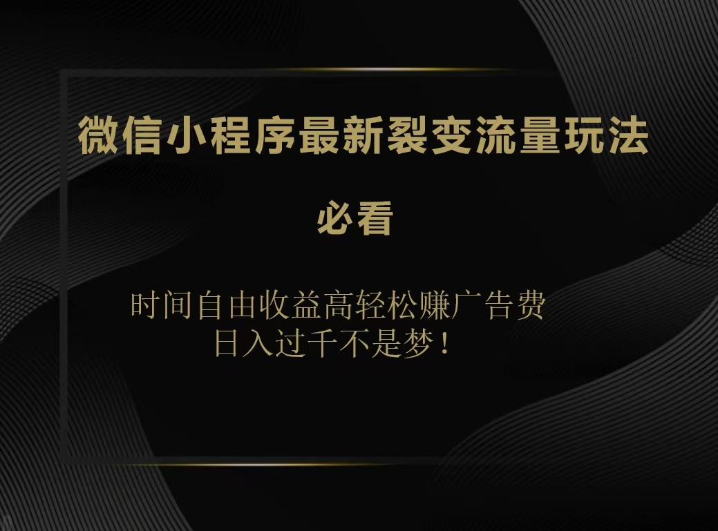 微信小程序最新裂变流量玩法，时间自由收益高轻松赚广告费，日入200-500+-易学副业