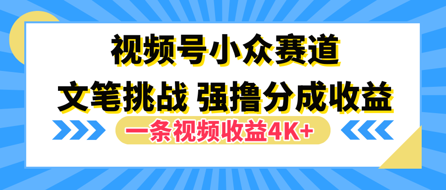 视频号小众赛道，文笔挑战，一条视频收益4K+-易学副业