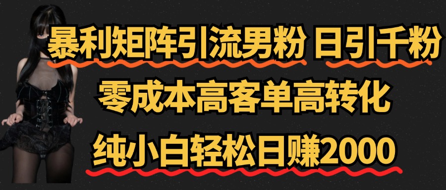 暴利矩阵引流男粉（日引千粉），零成本高客单高转化，纯小白轻松日赚2000+-易学副业