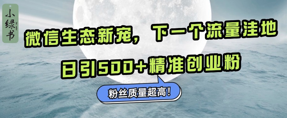 微信生态新宠小绿书：下一个流量洼地，粉丝质量超高，日引500+精准创业粉，-易学副业
