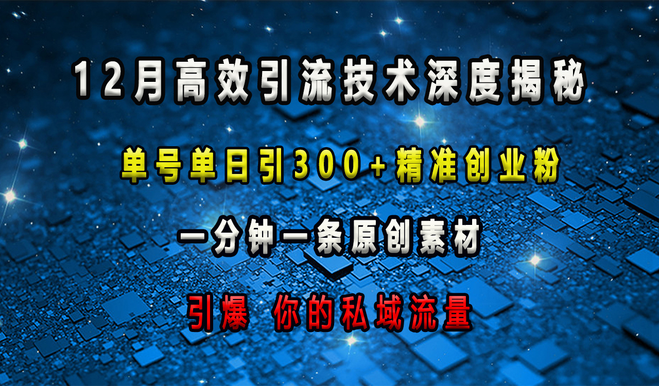 12月高效引流技术深度揭秘 ，单号单日引300+精准创业粉，一分钟一条原创素材，引爆你的私域流量-易学副业