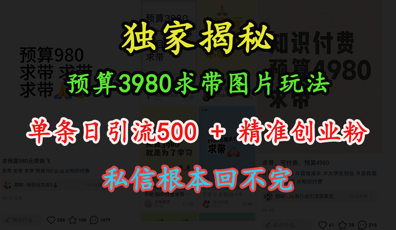 “小红书”预算3980求带 图片玩法，单条日引流500+精准创业粉，私信根本回不完-易学副业