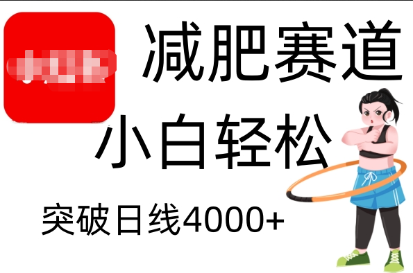 小红书减肥赛道，小白轻松日利润4000+-易学副业