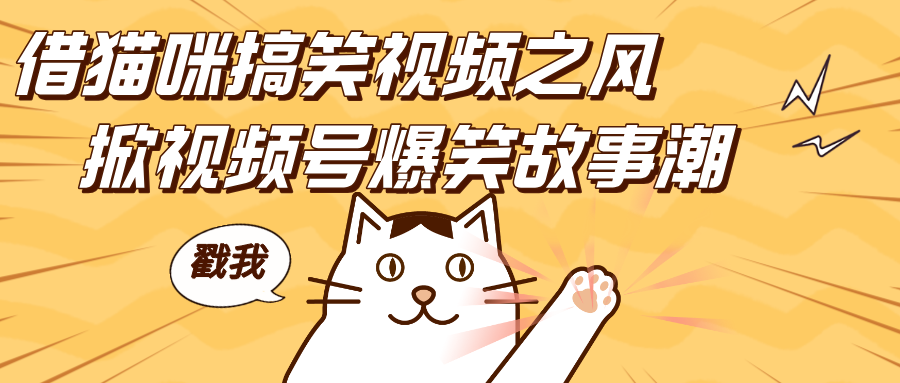 借猫咪搞笑视频之风，掀视频号爆笑故事潮，轻松日赚四位数，开启无门槛赚钱新体验！-易学副业