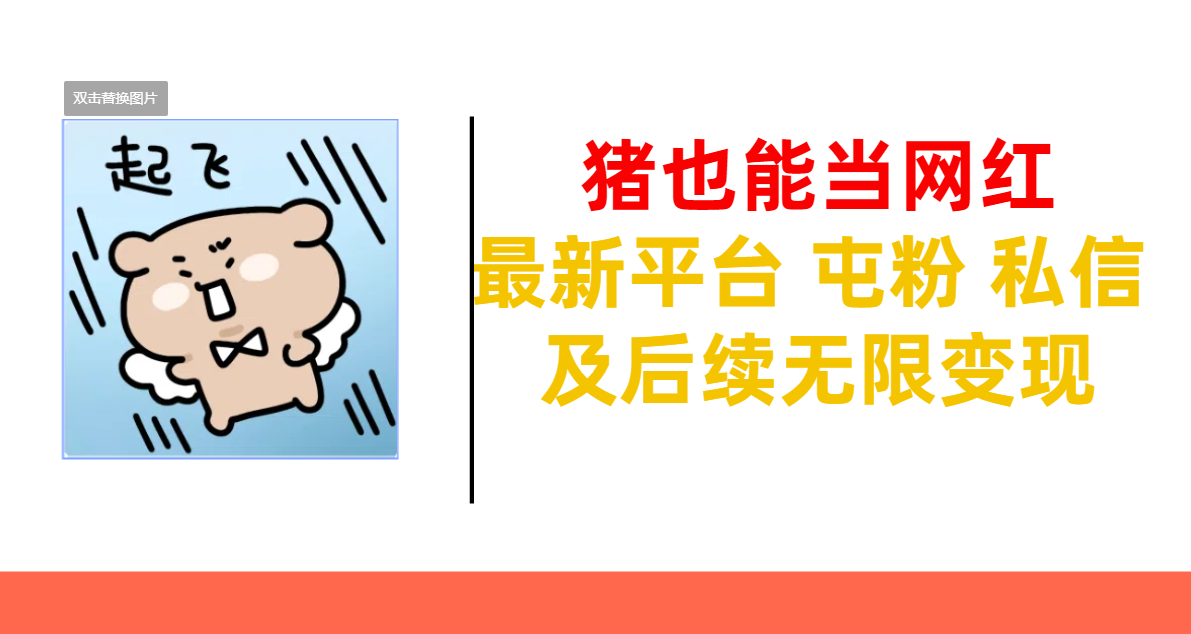 猪也能当网红-最新平台 屯粉 交流 私信 及后续无限变现-易学副业