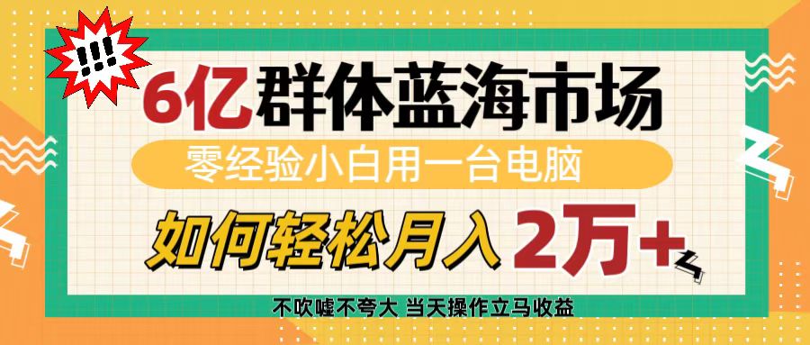 6亿群体蓝海市场，零经验小白用一台电脑，如何轻松月入2万+-易学副业