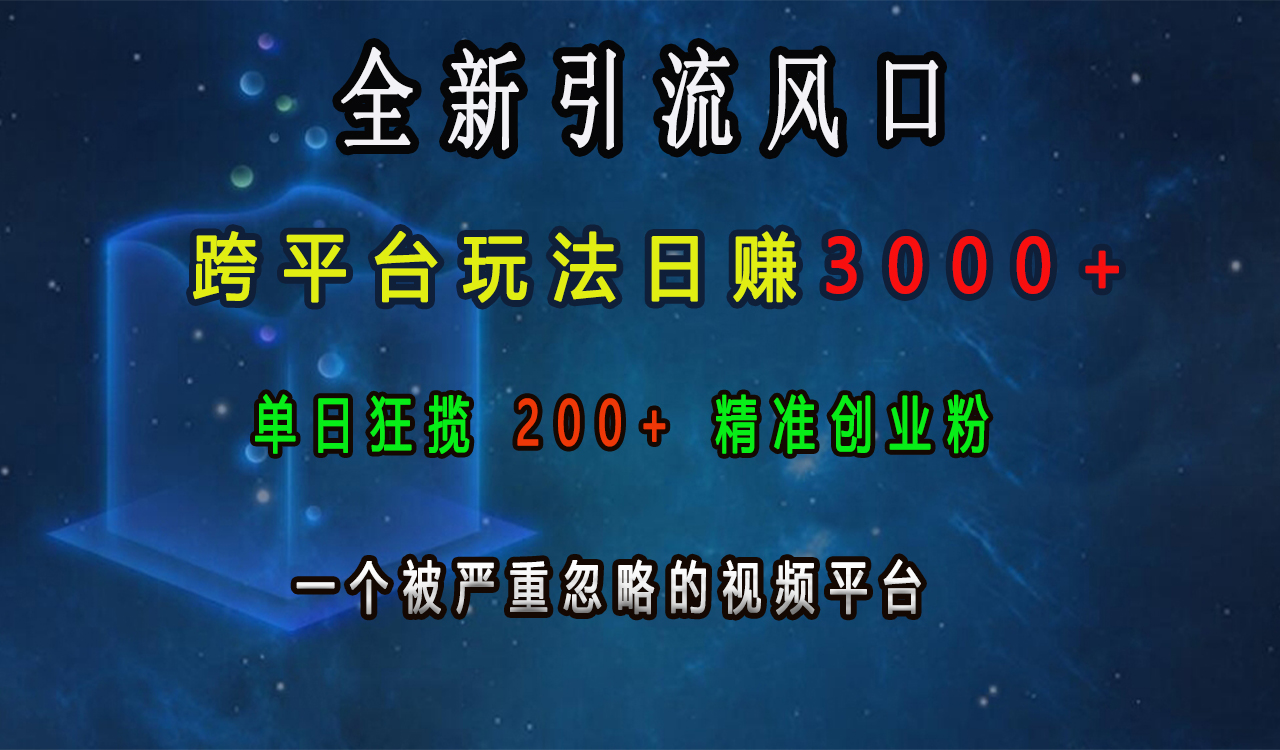 全新引流风口，跨平台玩法日赚3000+，单日狂揽200+精准创业粉，一个被严重忽略的视频平台-易学副业