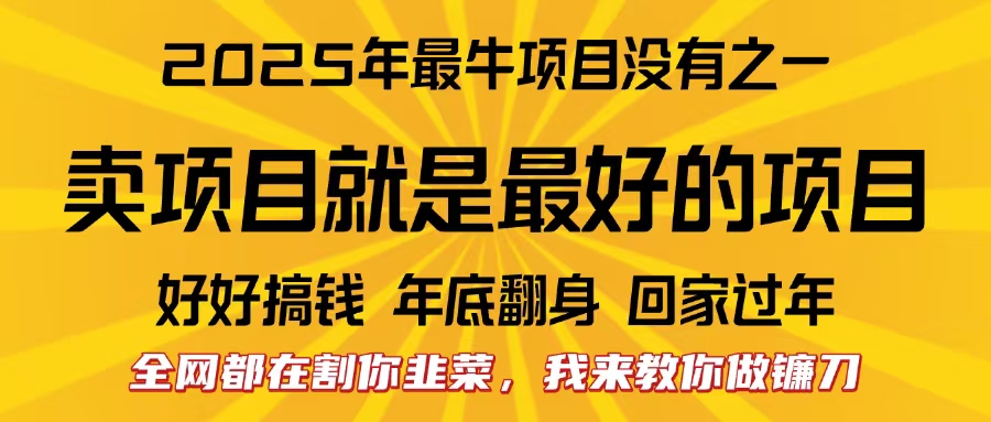 全网都在割你韭菜，我来教你做镰刀。卖项目就是最好的项目，2025年最牛互联网项目-易学副业