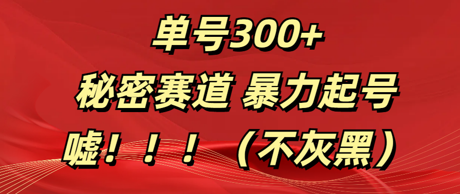 单号300+  秘密赛道 暴力起号  （不灰黑）-易学副业