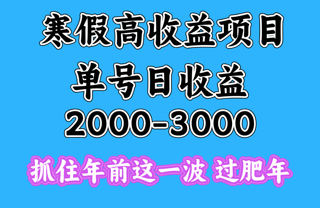 寒假期间一天收益2000-3000+，抓住年前这一波-易学副业