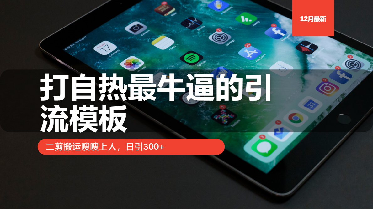 打自热最牛逼的引流模板，日引300+，二剪搬运嗖嗖上人-易学副业