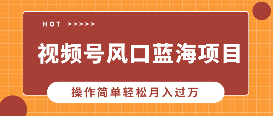 视频号风口蓝海项目，中老年人的流量密码，操作简单轻松月入过万-易学副业