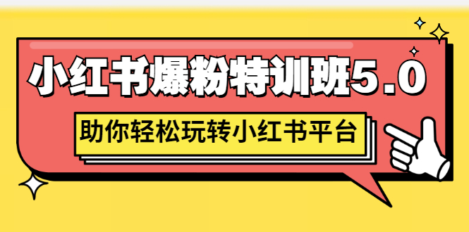 【副业项目3154期】小红书爆粉特训班5.0，助你轻松玩转小红书平台价值1380元-易学副业