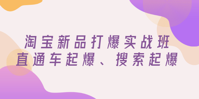 【副业项目3372期】淘宝新品打爆实战班（淘宝店铺如何增加流量和访客）-易学副业