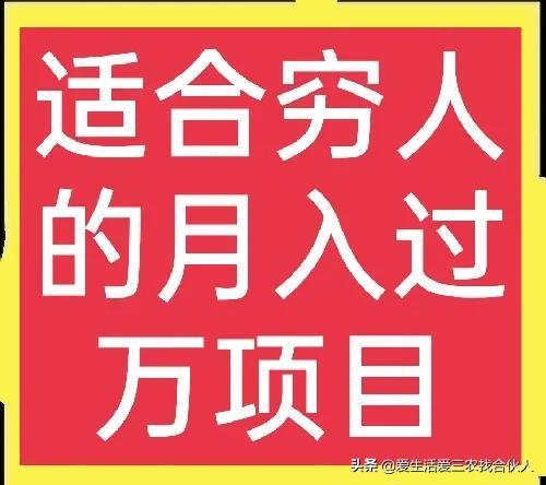 适合农村人做的赚钱项目（在农村做什么项目好）-易学副业