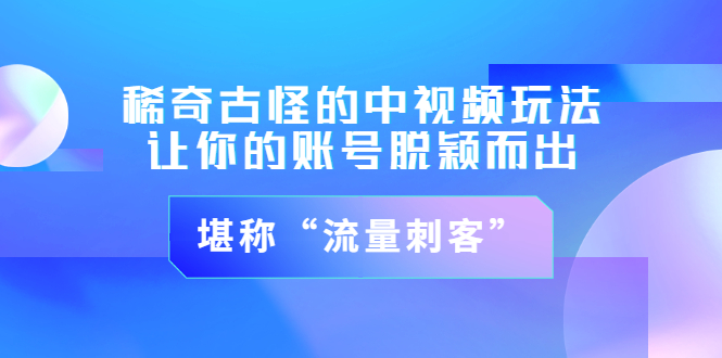 【副业项目3652期】稀奇古怪的中视频玩法，让你的账号脱颖而出，堪称“流量刺客”（图文+视频)-易学副业