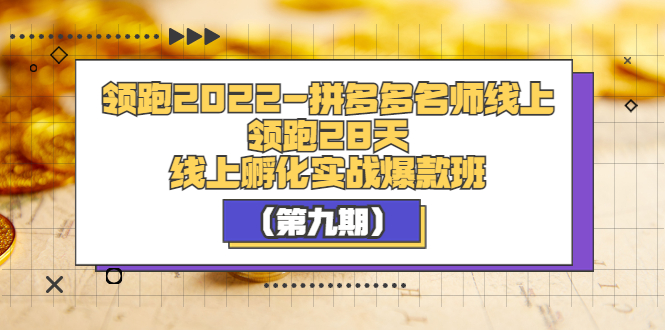 【副业项目3821期】拼多多名师线上领跑28天，拼多多线上孵化实操爆款班（第九期）-易学副业