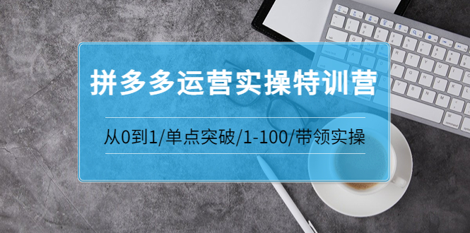 【副业项目3863期】拼多多运营实操特训营：拼多多直通车进阶优化技巧，拼多多如何操作利润最大化-易学副业