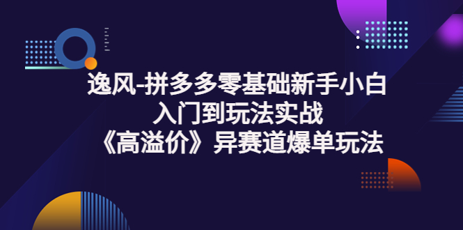 【副业项目3877期】逸风-拼多多新手小白入门到玩法实战，异赛道爆单玩法实操课-易学副业