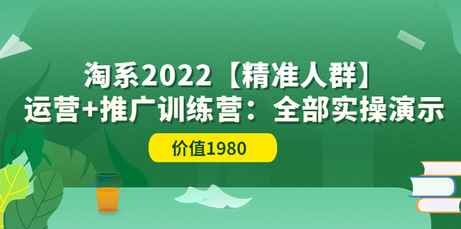 【副业项目3941期】淘系2022【精准人群】运营+推广训练营：全部实操演示-易学副业