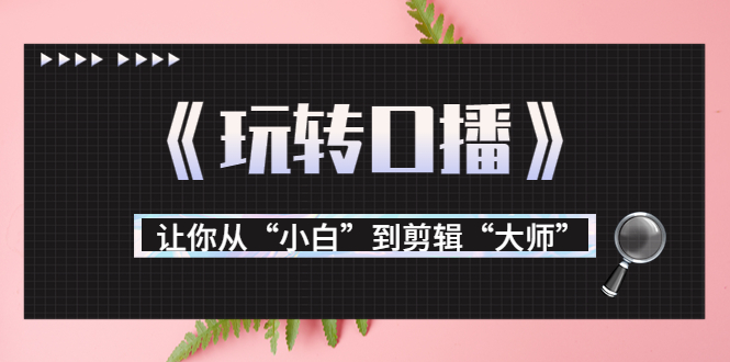 【副业项目3987期】月营业额700万+大佬教您《玩转口播》让你从“小白”到剪辑“大师”-易学副业