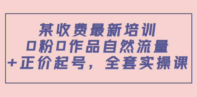 【副业项目4039期】某收费最新培训：0粉0作品自然流量+正价起号，全套实操课-易学副业
