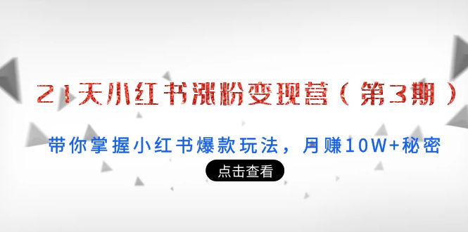 【副业项目4158期】21天小红书涨粉变现营（第3期）：带你掌握小红书爆款玩法，月赚10W+秘密-易学副业