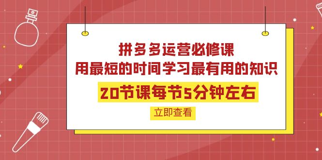 【副业项目4189期】拼多多运营必修课：20节课每节5分钟左右，用最短的时间学习最有用的知识-易学副业