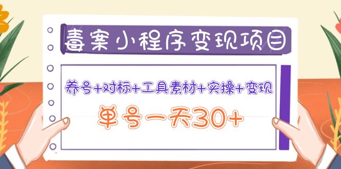 【副业项目4214期】图文案小程序变现项目：养号+对标+工具素材+实操+变现，单号一天30+-易学副业