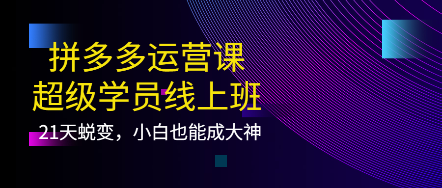 【副业项目4260期】拼多多运营课：超级学员线上班，21天蜕变，小白也能成大神-易学副业