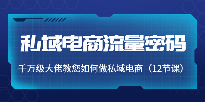 【副业项目4297期】私域电商流量密码：千万级大佬教您如何做私域电商（12节课）-易学副业