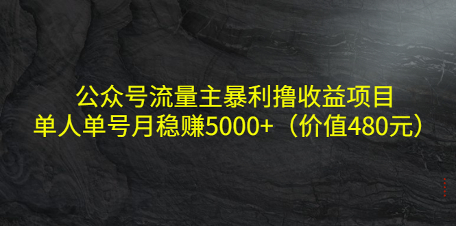 【副业项目4325期】公众号流量主暴利撸收益项目，单人单号月稳赚5000+（价值480元-易学副业