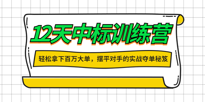 【副业项目4416期】12天中标训练营：轻松拿下百万大单，摆平对手的实战夺单秘笈-易学副业