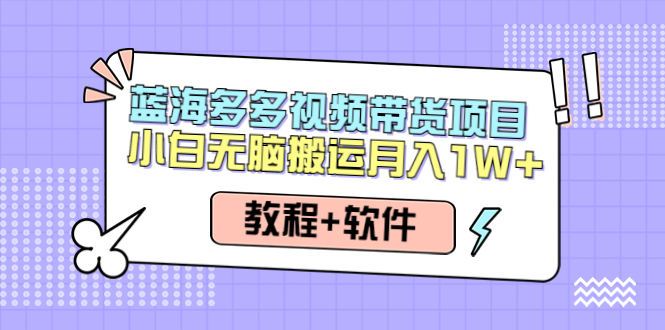 【副业项目4612期】人人都能操作的蓝海多多视频带货项目 小白无脑搬运月入10000+（教程+软件）-易学副业
