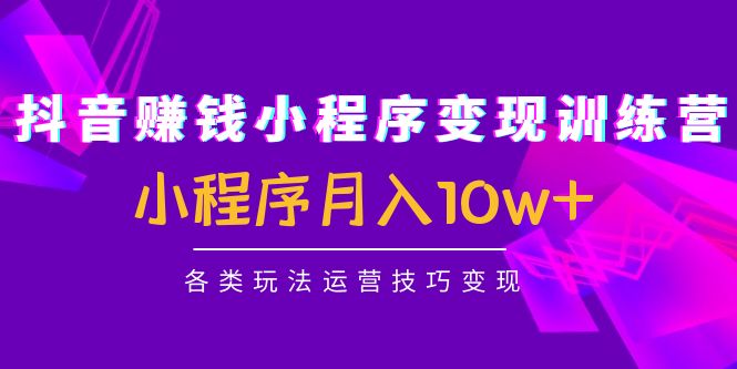 【副业项目4765期】抖音赚钱小程序变现训练营：小程序月入10w+各类玩法运营技巧变现-易学副业