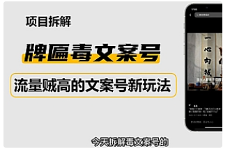 【副业项目4912期】2023抖音快手毒文案新玩法，牌匾文案号，起号快易变现-易学副业