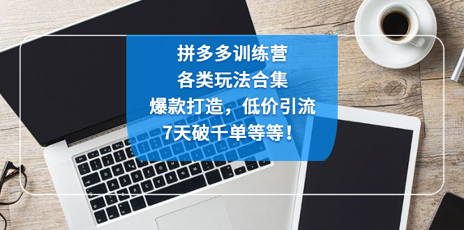 【副业项目4925期】拼多多训练营：各玩法合集，爆款打造，低价引流，7天破千单等等-易学副业