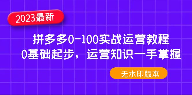 【副业项目5048期】2023拼多多0-100实战运营教程，0基础起步，运营知识一手掌握-易学副业