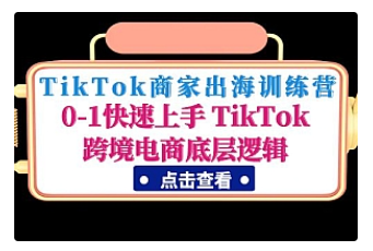 【副业项目5013期】TikTok商家出海训练营：0-1快速上手 TikTok跨境电商底层逻辑-易学副业