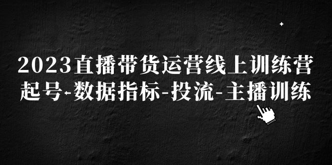 【副业项目5282期】2023直播带货运营线上训练营，起号-数据指标-投流-主播训练-易学副业