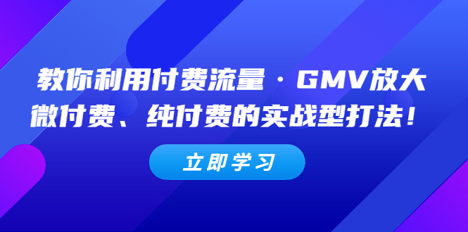 【副业项目5265期】教你利用付费流量·GMV放大，微付费、纯付费的实战型打法-易学副业