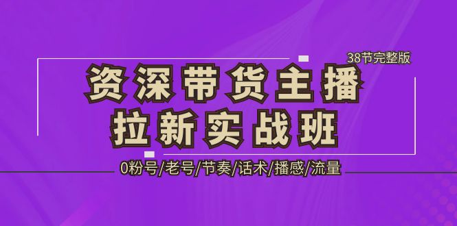 【副业项目5333期】资深·带货主播拉新实战班，0粉号/老号/节奏/话术/播感/流量-38节完整版-易学副业