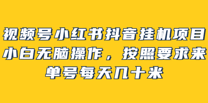 【副业项目2904期】视频号小红书抖音挂机项目，小白无脑操作，按照要求来，单号每天几十米-易学副业