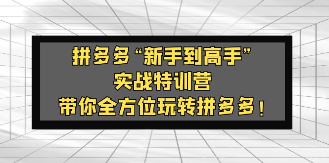 【副业项目5317期】拼多多“新手到高手”实战特训营：带你全方位玩转拼多多-易学副业