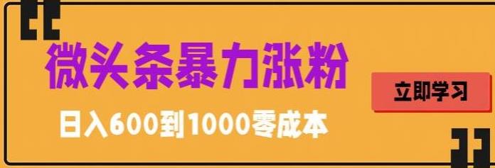 【副业项目5970期】微头条暴力涨粉技巧搬运文案就能涨几万粉丝，简单0成本，日赚600-易学副业