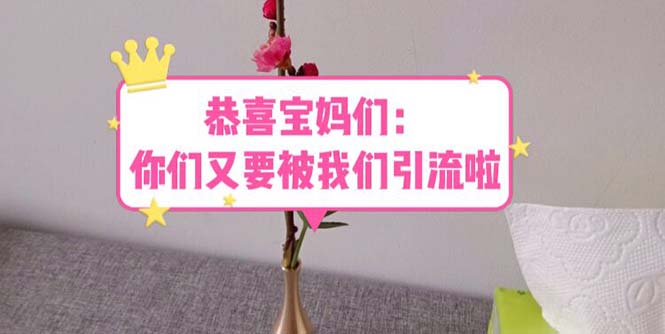 【副业项目5918期】恭喜宝妈们：你们又要被我们引流了（教程+222g资料）-易学副业