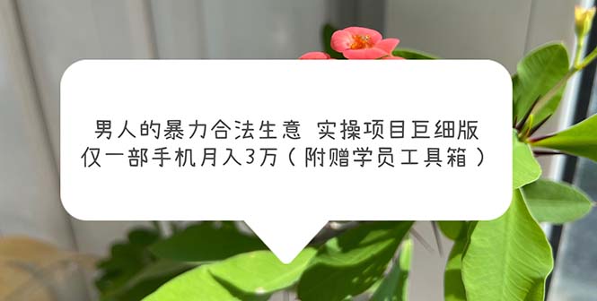 【副业项目5982期】男人的暴力合法生意实操项目巨细版：仅一部手机月入3w（附赠学员工具箱）-易学副业